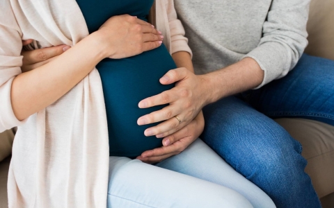 How to Choose a Legal Surrogacy Agency?