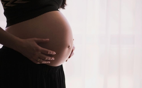 Can a Surrogate Mother Withdraw Midway?
